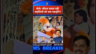 मछली परिवार पर कार्यवाही, टाइगर राजा सिंह ने सीएम मोहन को धन्यवाद, बोले बड़ी मछलियों को कब पकड़ोगे