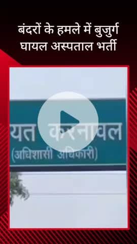सरधना: करनावल कस्बे में घर की गैलरी में सो रहे बुजुर्ग पर बंदरों के झुंड ने किया हमला, घायल को जिला अस्पताल किया गया रेफर