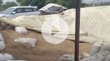 चरखी दादरी: एसडीएम आशीष सांगवान ने झोझू फसल खरीद केंद्र का दौरा किया, अधिकारियों को फसल खरीद के निर्देश दिए