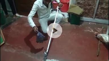 सागर नगर: पुरव्याऊ टोरी इलाके में घर में घुसी कोबरा नागिन, परिवार में हड़कंप, स्नेक कैचर ने किया रेस्क्यू