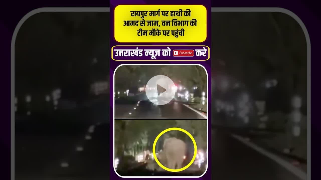 रायपुर मार्ग पर हाथी की आमद से जाम #elephantviralvideo #uttarkhandnews