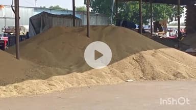 सरदारपुर: राजगढ़ मंडी में 9 अक्टूबर को सोयाबीन की आवक बढ़ी, उच्चतम भाव ₹4300 प्रति क्विंटल रहा