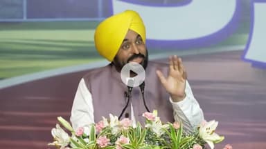 “पंजाब में पारदर्शिता की नई मिसाल! भगवंत मान बोले – ‘55,000 युवाओं को मिला ईमानदार रोजगार’”#PunjabCM