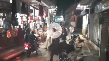 जैसीनगर: कफ सिरप कांड: बच्चों की मौत पर कांग्रेस का जैसीनगर में कैंडल मार्च, स्वास्थ्य मंत्री के इस्तीफे की मांग