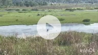 चकराता: आसन झील में पहुंची प्रवासी परिंदों की पहली उड़ान