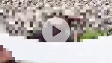 करछना: ब्यौहरा गांव के सामने ट्रेन की चपेट में आने से युवक की मौत, पुलिस ने पोस्टमार्टम के लिए भेजा, जांच जारी