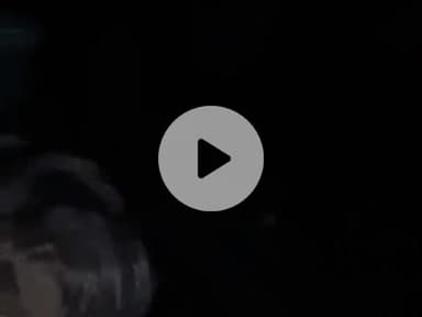 kamasin Banda dheerajsonukamasin🙏🌹🌹🙏🙏🙏🙏🙏🙏👑👑👑👑💔💔🙏🙏🙏🤩🤩🤩🤩🤩🤩🤩🤩🤩🤩🤩🤩🤩🤩🤩🤩🤩🤩