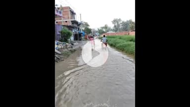 परिहार: महादेवपट्टी गांव में सड़कों पर भरा बाढ़ का पानी, लोगों का आवागमन हुआ मुश्किल