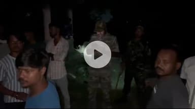 गिरिडीह: गिरिडीह में झाड़ी से घायल गाय बरामद, ग्रामीणों ने बचाया, नगर थाना पुलिस ने जांच शुरू की