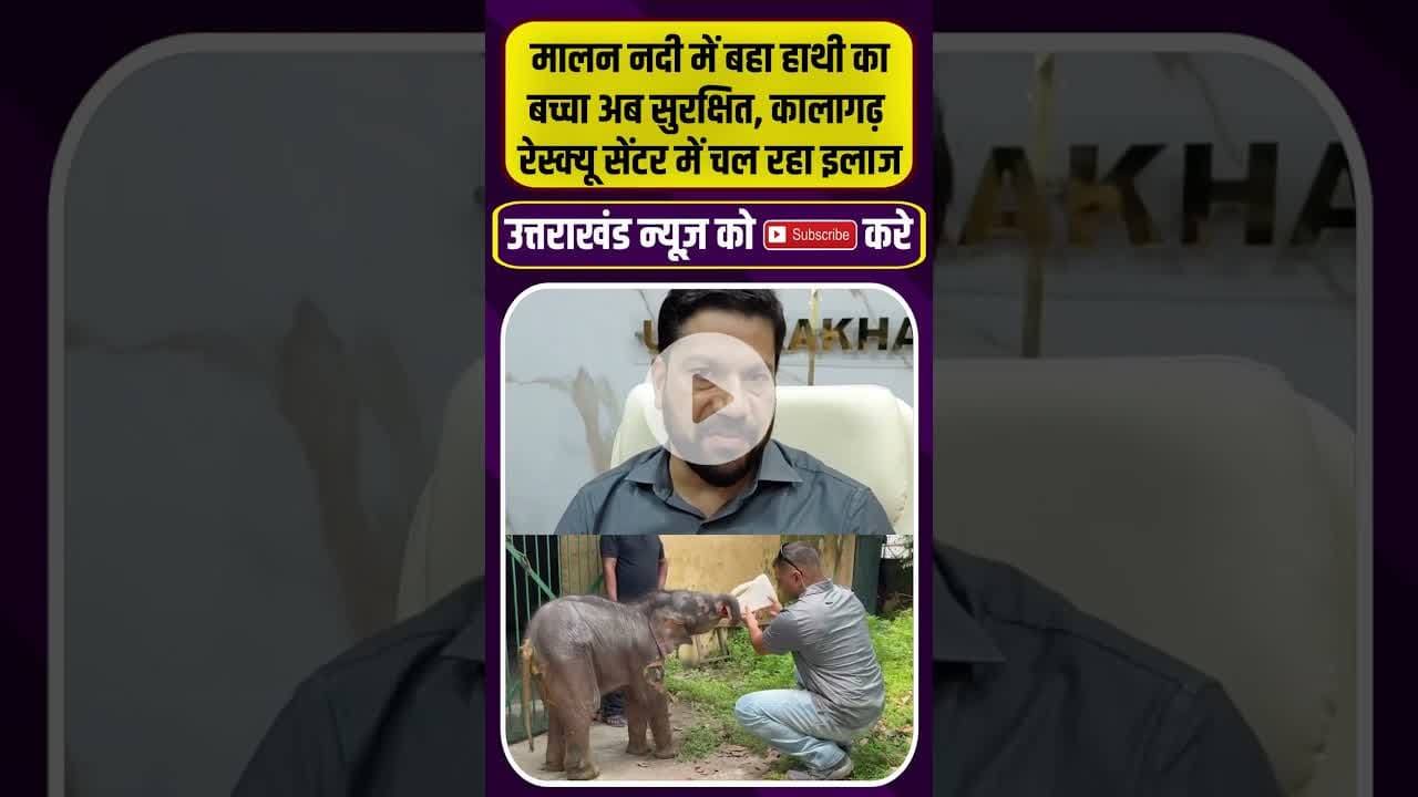 मालन नदी में बहा हाथी का बच्चा अब सुरक्षित #elephantviralvideo #uttarkhandnews