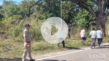 दादासिबा: पुलिस थाना डाडासीबा की टीम ने पंचायत बतवार में 4000 से 5000 प्राकृतिक रूप से उगे भांग के पौधों को किया नष्ट