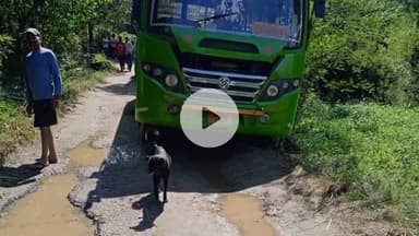 झंडूता: झंडूता-नाहरल सड़क पर हादसा टला, बस पलटने से बाल-बाल बची