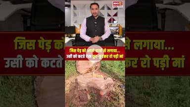 खैरागढ़ CG: पेड़ को अपने हाथों से लगाया…कटा देख रो पड़ी मां