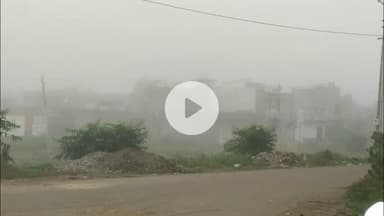 ધોરાજી: ધોરાજીમાં વહેલી સવારથી ધુમ્મસ પરિવાર વાતાવરણ જોવા મળ્યું હતું જેને લઇને વાહન ચાલકોની ગતિઓ ધીમી પડી હતી