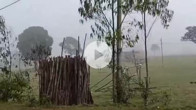 କୋରାପୁଟ: କୋରାପୁଟର ଲମତାପୁଟ ରେ ଚଳିତ ବର୍ଷର ପ୍ରଥମ ଶୀତ ଅନୁଭୂତ.. ଚାରି ଆଡେ଼ ଘନ୍ କୁହୁଡ଼ିର ଆସ୍ତରଣ...