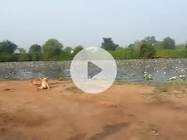 तिलगवा गाव की समस्त 

सरपंच के कार्य ना करने