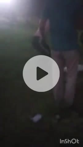 हाथरस: गांव टुकसान में जमीन कब्जाने को लेकर दो पक्षों में जमकर चले लाठी-डंडे, ग्रामीणों में मचा हड़कंप, वीडियो हुआ वायरल