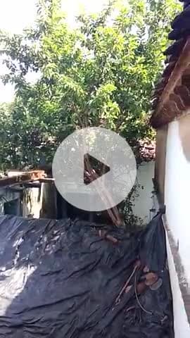 berkhedi dist vidisha 2025 08/10/25