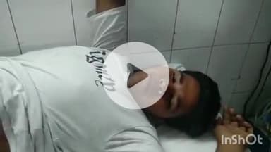 औरैया: साई मंदिर के समीप सड़क पर आवारा पशु बने हादसे का कारण, छात्र घायल, आवारा पशु नहीं पकड़े जा रहे