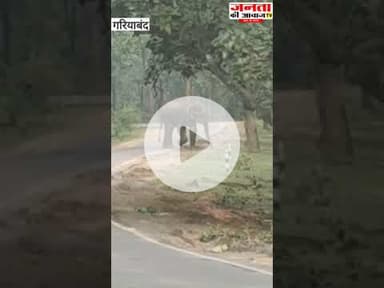 फिर पहुंचा हाथी नेशनल हाईवे 130 सी मुख्य मार्ग पर...सड़क हुआ जाम #gariyaband