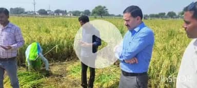 हाथरस: गांव ताजपुर में डीएम ने धान की फसल की औसतन पैदावार का अनुमान लगाने के लिए कॉपकटिंग की प्रक्रिया का लिया जायज़ा