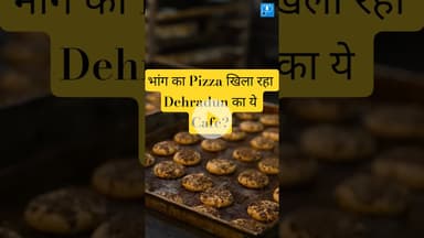 #bhang🍃 #pizza🍕 in this #cafe? #shorts #weedpizza #dehraduncafe @Shorts