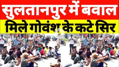 सुल्तानपुर में बवाल | सिक्स लेन पर मिले गोवंश के कटे सिर #breakingnews #upnews #sultanpurnews #news