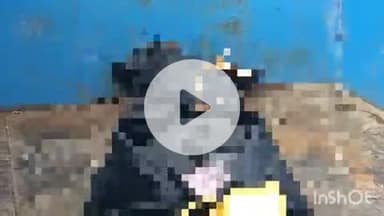 बहराइच: खालेपुरवा इलाके में संदिग्ध परिस्थितियों में विवाहिता का शव फंदे से लटकता मिला, पुलिस जांच में जुटी