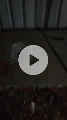 गावरमेंट की लापरवाही #दादर जिला कैमूर विद्यालय दादर