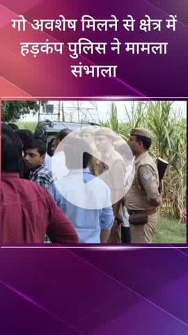 सरधना: खिर्वा गांव में हुई गोकशी की घटना से हिंदू संगठनों में रोष, SP देहात ने कार्रवाई का दिया आश्वासन