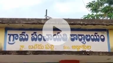 అడ్డాకుల: అడ్డాకుల  మండలంలోని బలీదుపల్లి గ్రామంలో విషాదం చేపల వేటకు వెళ్లిన అన్నదమ్ములు మునిగి మృతి