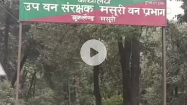 देहरादून: दीपावली पर उल्लू तस्करी रोकने के लिए वन विभाग हुआ अलर्ट, रात-दिन गश्त तेज