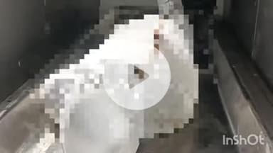 बहराइच: दरगाह इलाके में मिले अज्ञात व्यक्ति के शव की पहचान हुई, शव का करवाया गया पोस्टमार्टम