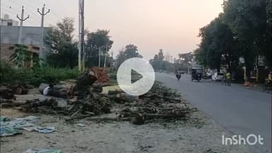 कलान: जलालाबाद क्षेत्र में सड़क चौड़ीकरण के लिए सड़क किनारे लगे हरे पेड़ों का कटान वन विभाग ने शुरू किया