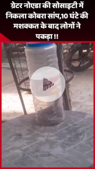 दादरी: ग्रेटर नोएडा की सोसाइटी में निकला कोबरा सांप, 10 घंटे की मशक्कत के बाद लोगों ने पकड़ा