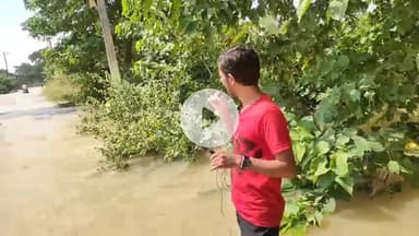 Gayghat क्षेत्र डूब गया #jarang #gayghat #muzaffarpur #bihar