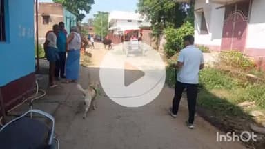 करपी: किंजर उज्जैन पट्टी में चोरी की घटना, जांच के लिए पहुंची डॉग स्क्वायड टीम