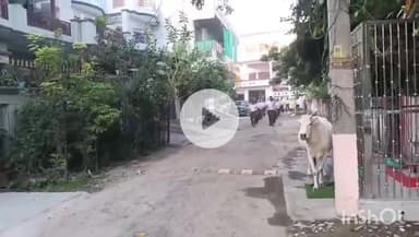 हरदोई: राष्ट्रीय स्वयंसेवक संघ ने शहर में निकाला पथ संचलन, लोगों ने जगह-जगह पुष्पवर्षा कर किया स्वागत