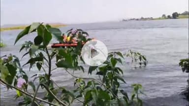 छपारा: मोहली गांव की महिला का शव भीमगढ़ संजय सरवत बांध में तीन दिन बाद मिला