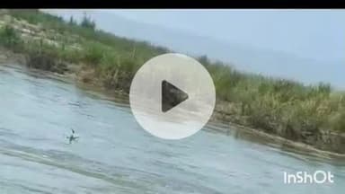 आरा: सलेमपुर गंगा घाट पर एक व्यक्ति का गंगा में डूबने का लाइव वीडियो आया, लोग बचाने का प्रयास नहीं कर पाए