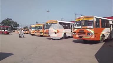 मथुरा: मथुरा से संतान प्राप्ति के लिए लगाए जाने वाली डुबकी के लिए चलेंगी अतिरिक्त 40 बसें