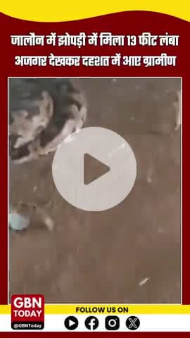कोंच-कैलिया बाईपास पर 13 फीट का विशालकाय अजगर मिलने से हड़कंप, ग्रामीणों ने दिखाई बहादुरी
#Jalaun #GiantPython #gbntoday