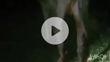 ब्यौहारी: ब्यौहारी के कैथाहा गांव में अज्ञात वाहन ने मवेशी को मारी टक्कर, गौशाला समिति के युवकों ने किया उपचार