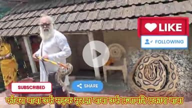 रसैल वाइपर खतरनाक सर्प है काट ले तो तुरंत नजदिकी अस्पताल जांए झाड़ फुक के चक्कर में आपकी जान जा सकती है