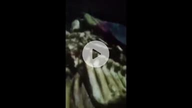 झांसी: सीपरी बाजार में गौ सेवा संगठन ने गाय की हड्डियों से भरी लोडिंग पकड़ी, पुलिस के हवाले किया