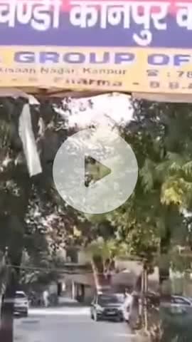 कानपुर: सचेंडी में दही मार बनाते समय हुआ विस्फोट, अधेड़ के हाथ का पंजा उड़ा, उर्सला अस्पताल में भर्ती