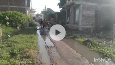 औरैया: नारायणपुर में जलभराव से परेशान लोग,नगर पालिका पर लगाया लापरवाही का आरोप, शिकायतों के बाद नहीं हो रहा निस्तारण #jansamasy