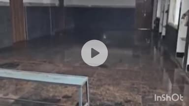 हुज़ूर: रीवा छात्रावास के छात्रों को खाने में मिला कीड़ा मचा हड़कंप, नरकीय जीवन जीने को मजबूर हैं छात्र.#jansmashya