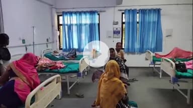 अमरोहा: अमरोहा जिले में डेंगू से 15 लोग पीड़ित, ब्लीडिंग और 30 हजार से कम प्लेटलेट्स पर खतरा