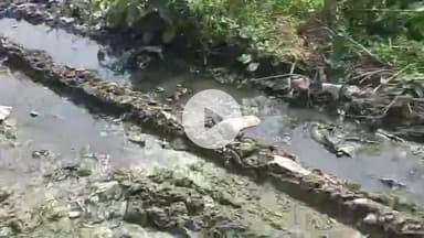 रामपुर: भौंनकपुर गांव का लिंक रोड पिछले 50 सालों से खराब स्थानीय बुजुर्ग बोले कभी सड़क को सुधारने की नहीं की कोशिश #jansamasya